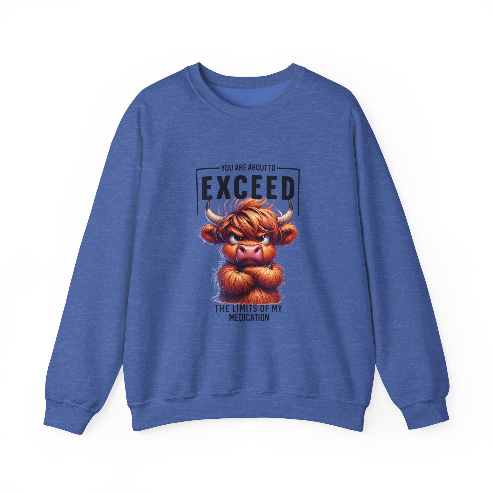 "You Are About to Exceed the Limits
