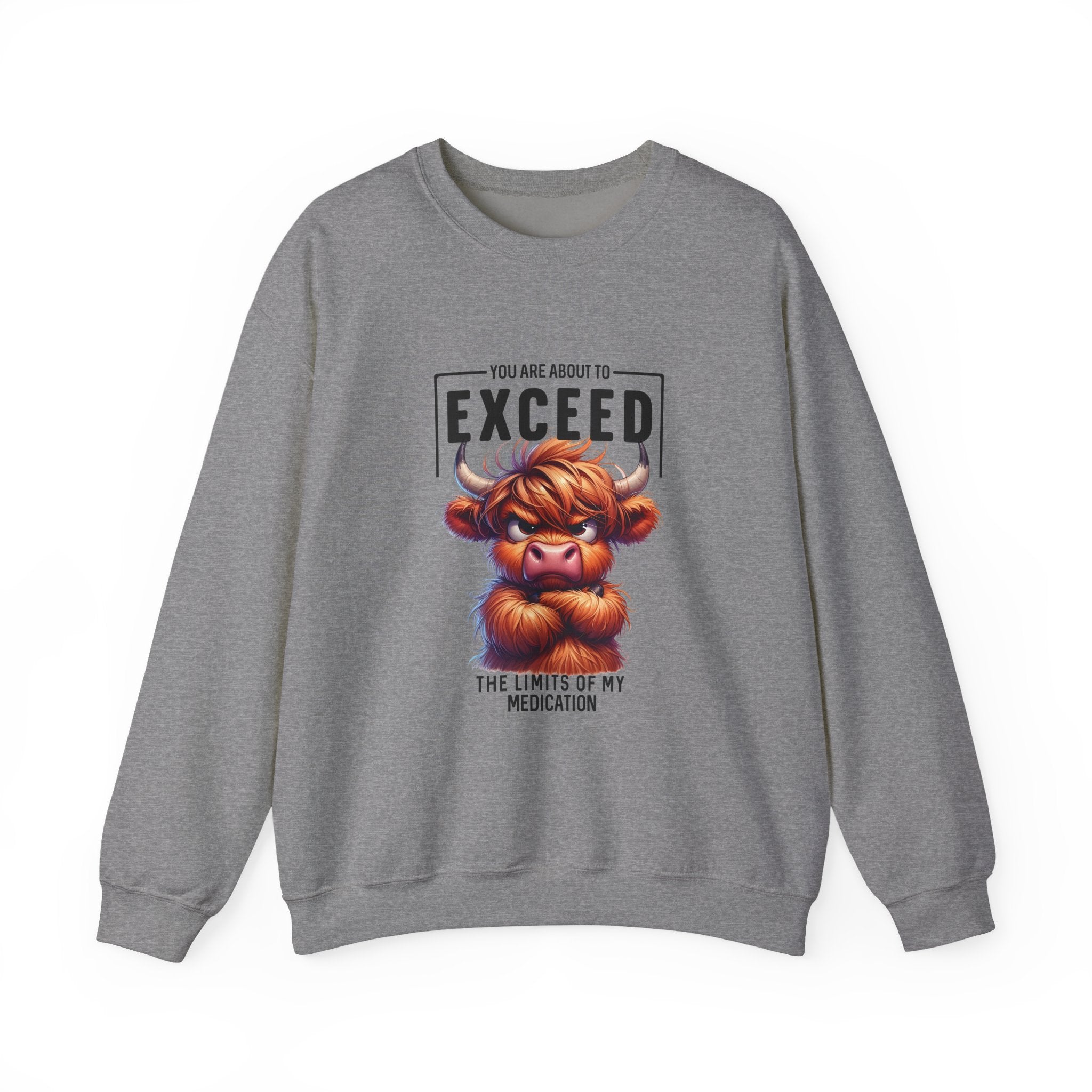 "You Are About to Exceed the Limits