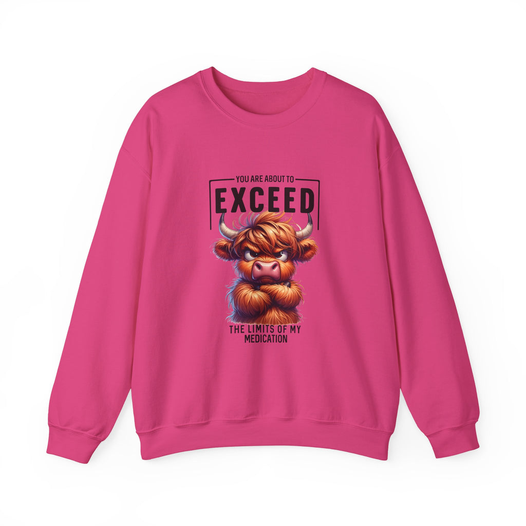 "You Are About to Exceed the Limits