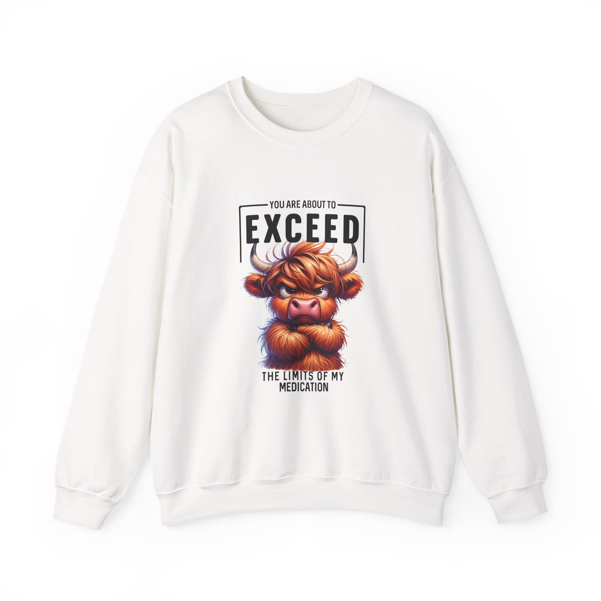 "You Are About to Exceed the Limits