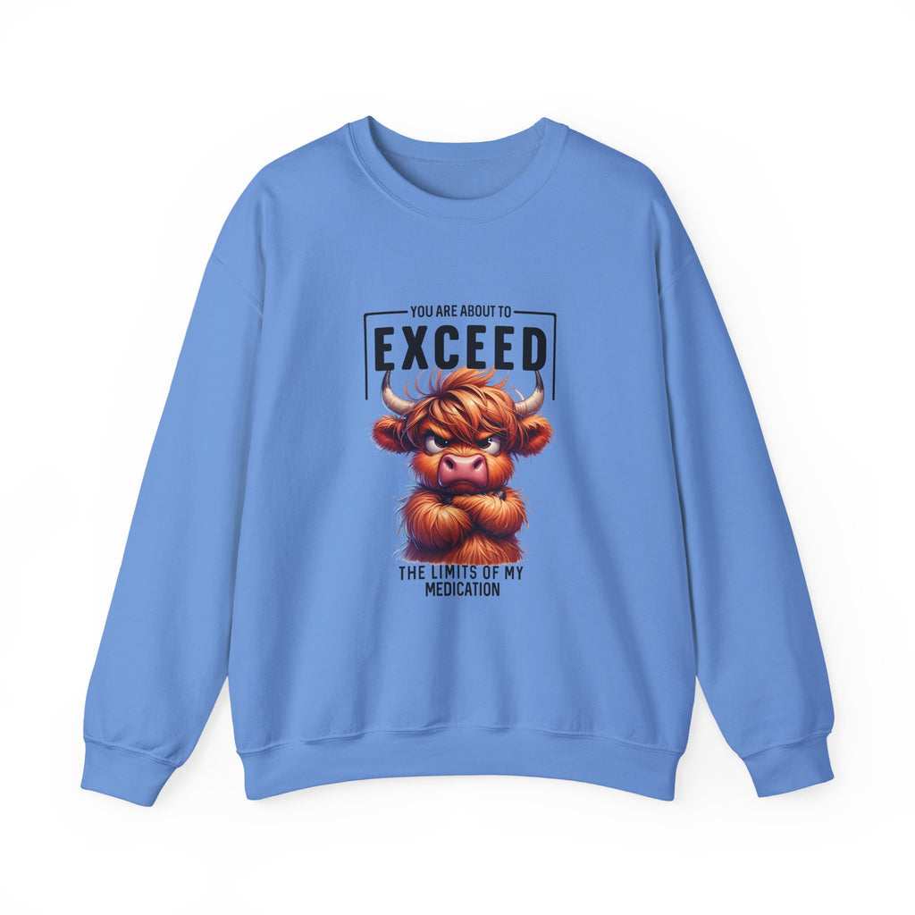 "You Are About to Exceed the Limits