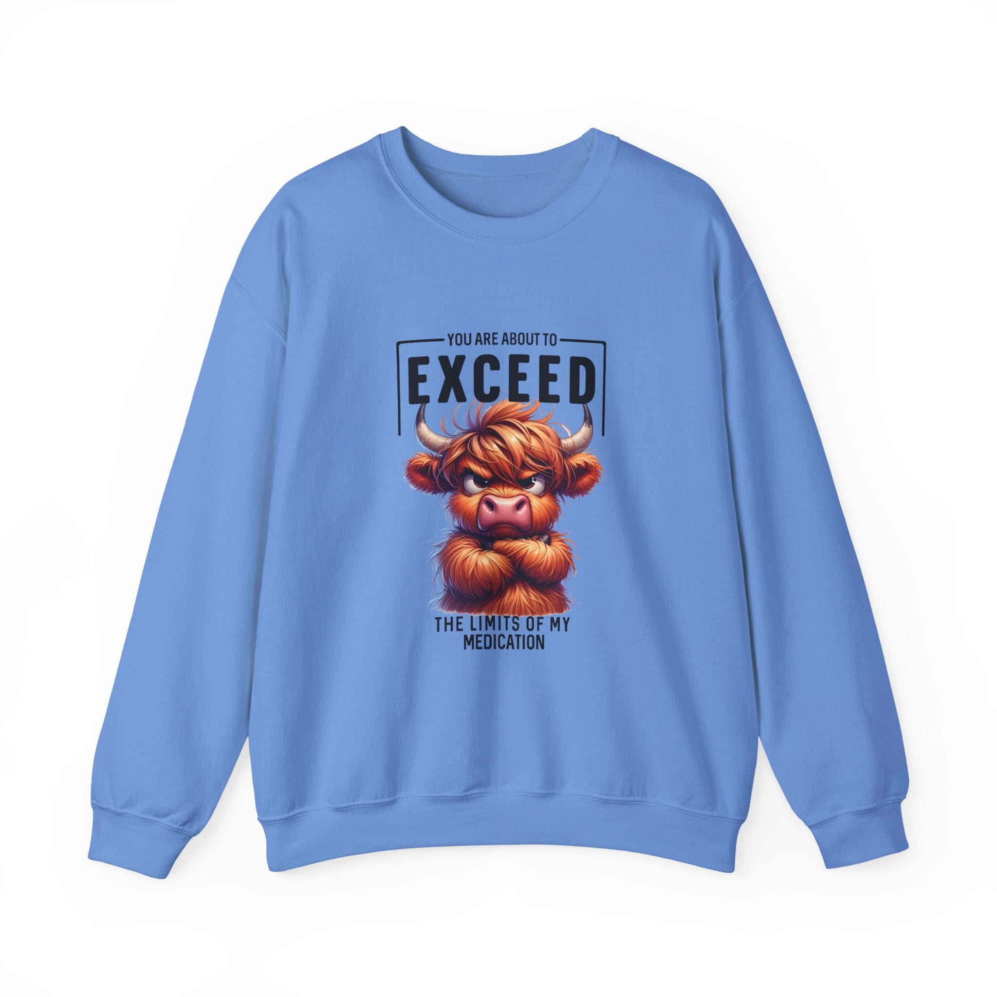 "You Are About to Exceed the Limits
