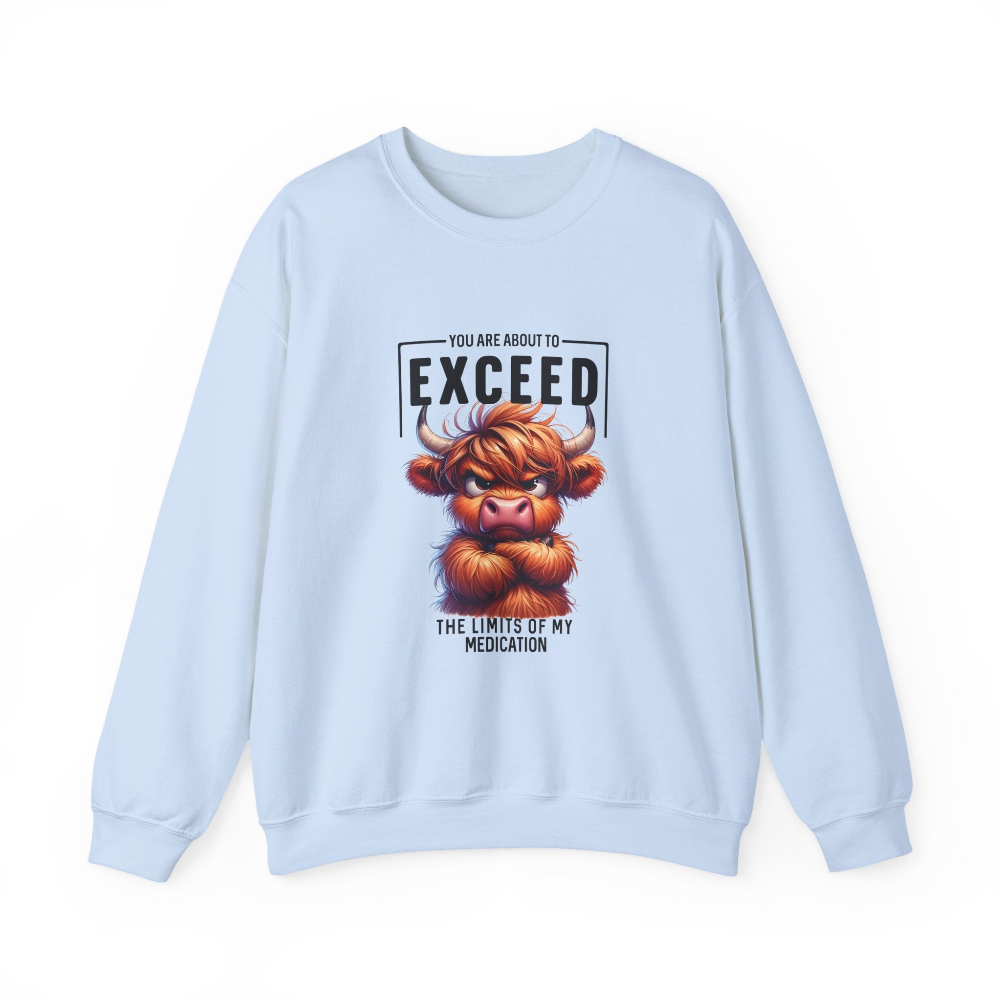 "You Are About to Exceed the Limits
