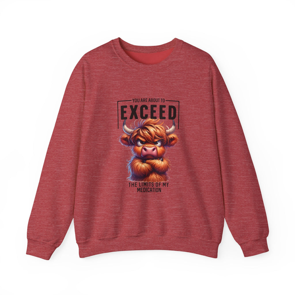 "You Are About to Exceed the Limits