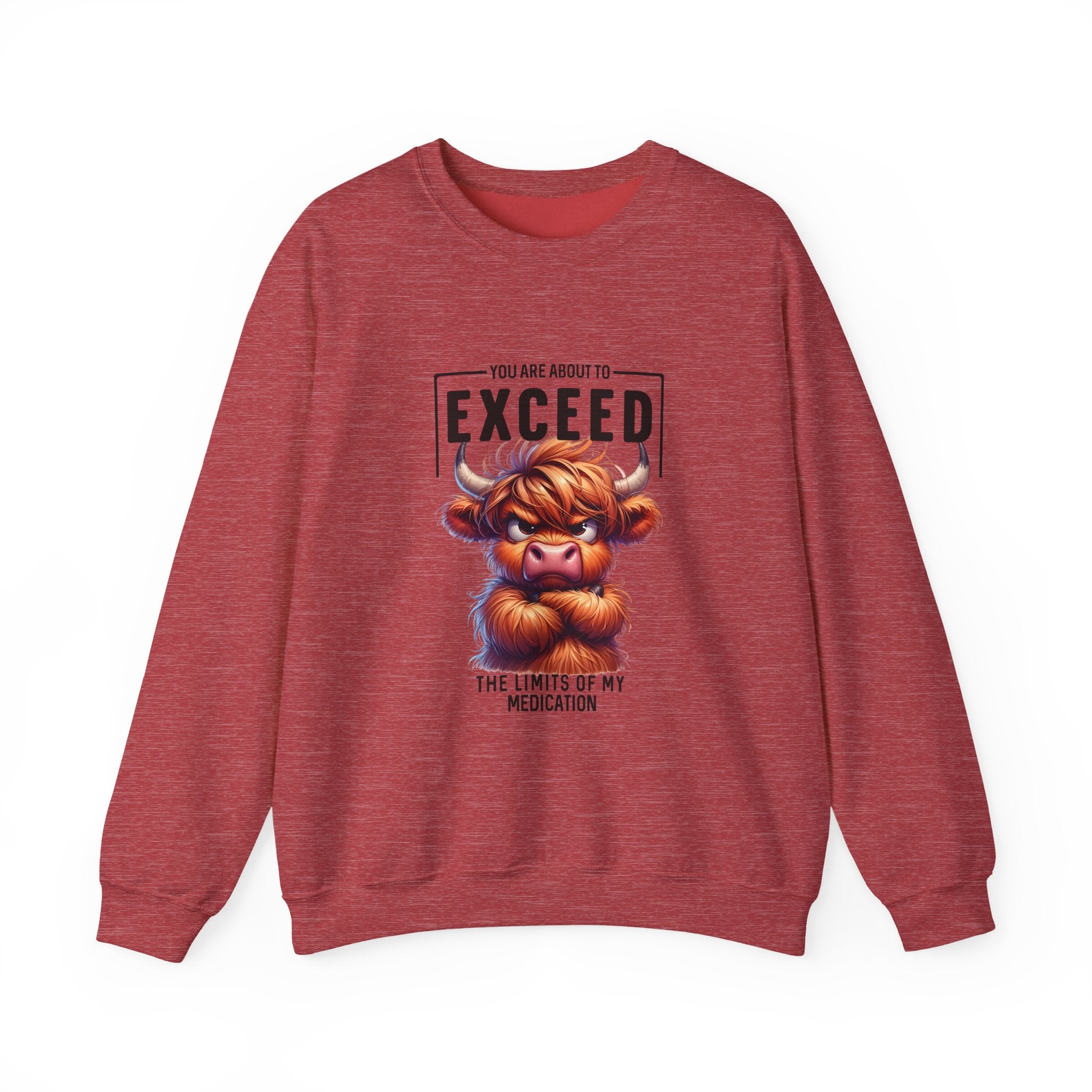 "You Are About to Exceed the Limits