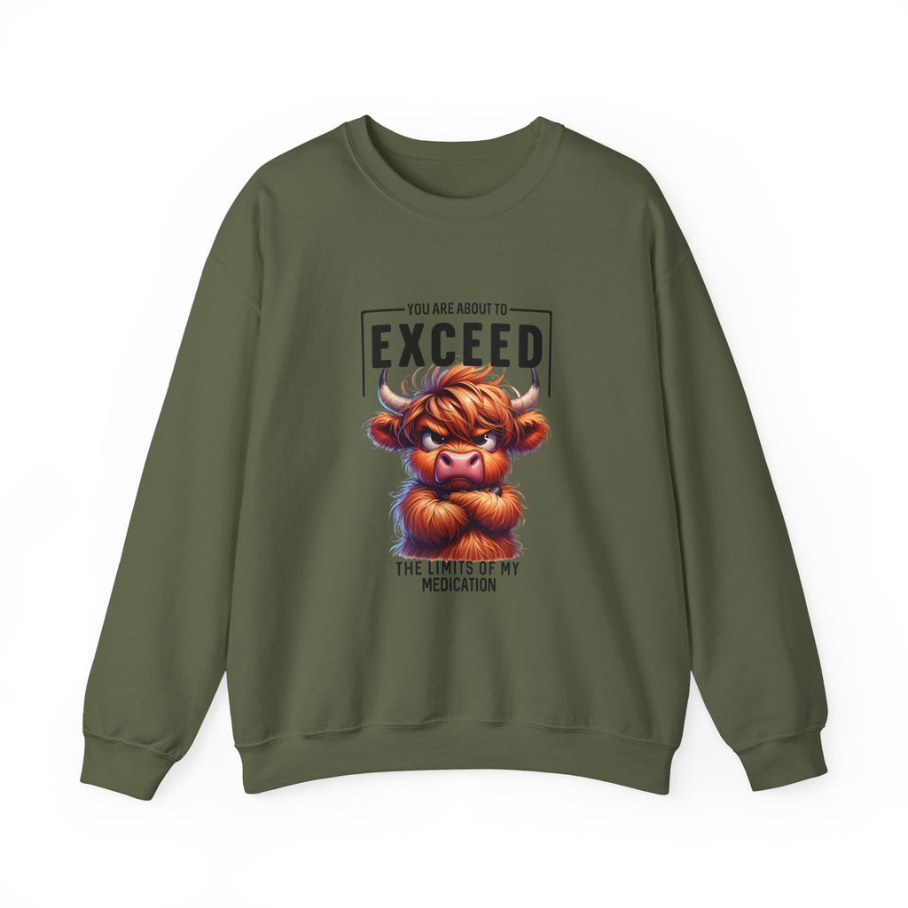 "You Are About to Exceed the Limits