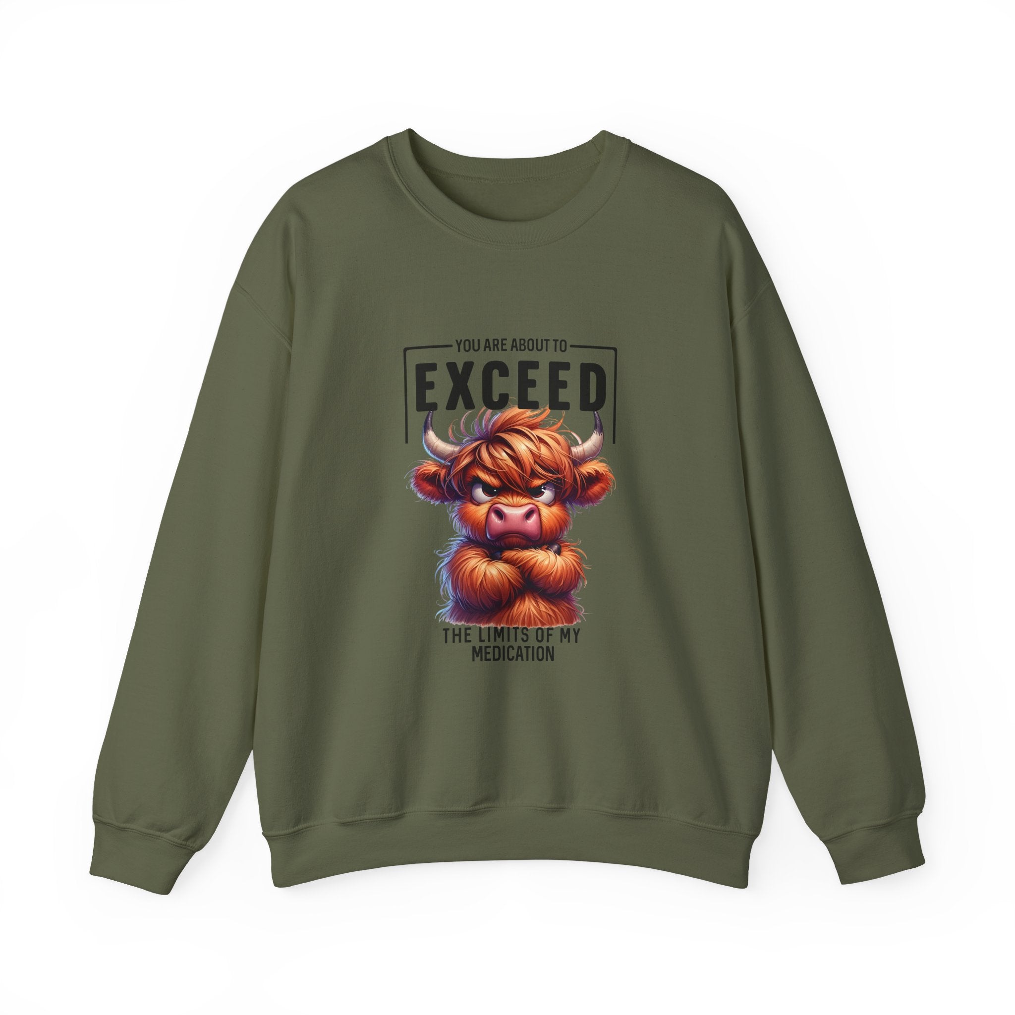 "You Are About to Exceed the Limits