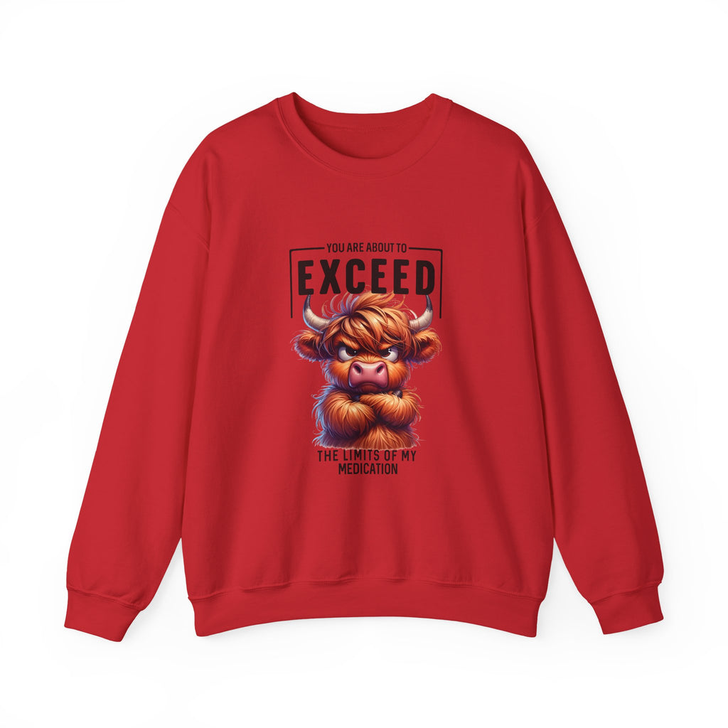 "You Are About to Exceed the Limits