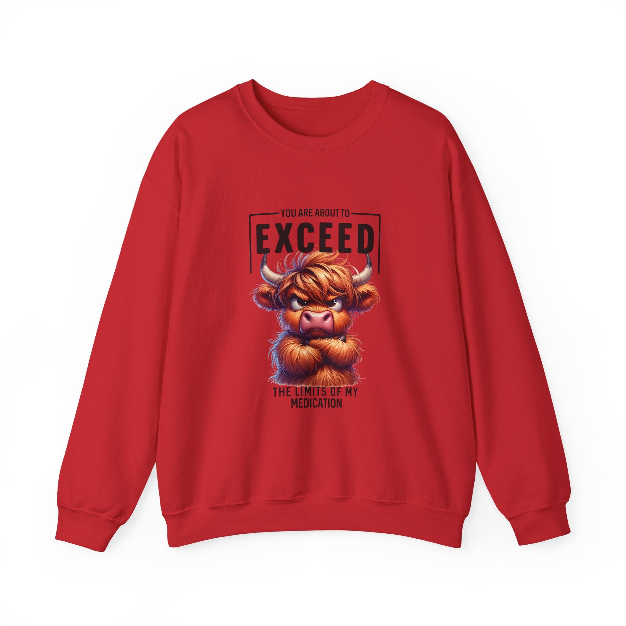 "You Are About to Exceed the Limits