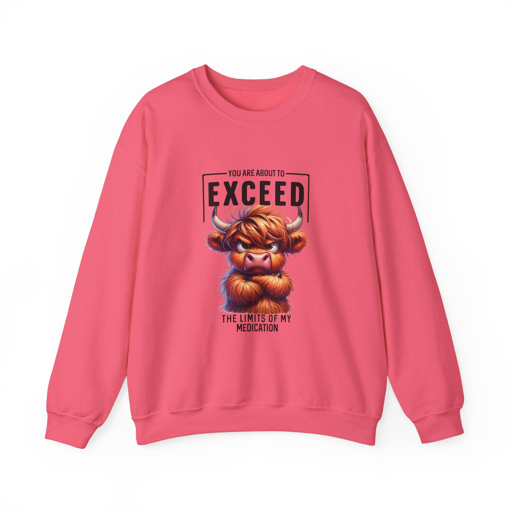 "You Are About to Exceed the Limits