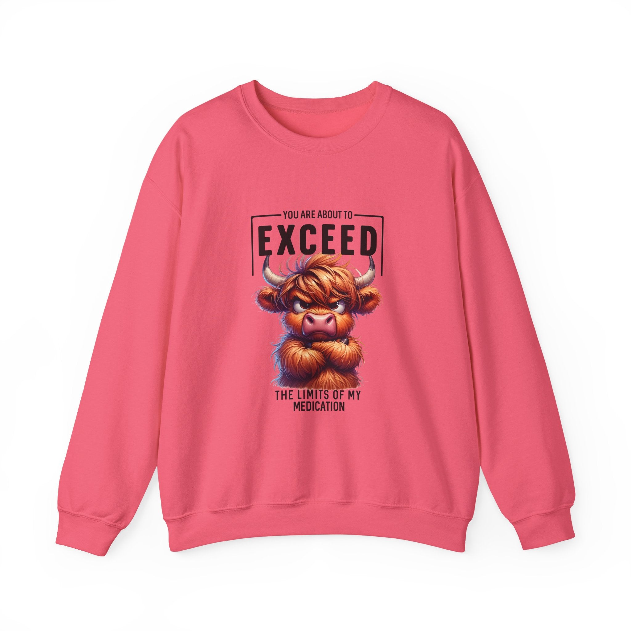 "You Are About to Exceed the Limits