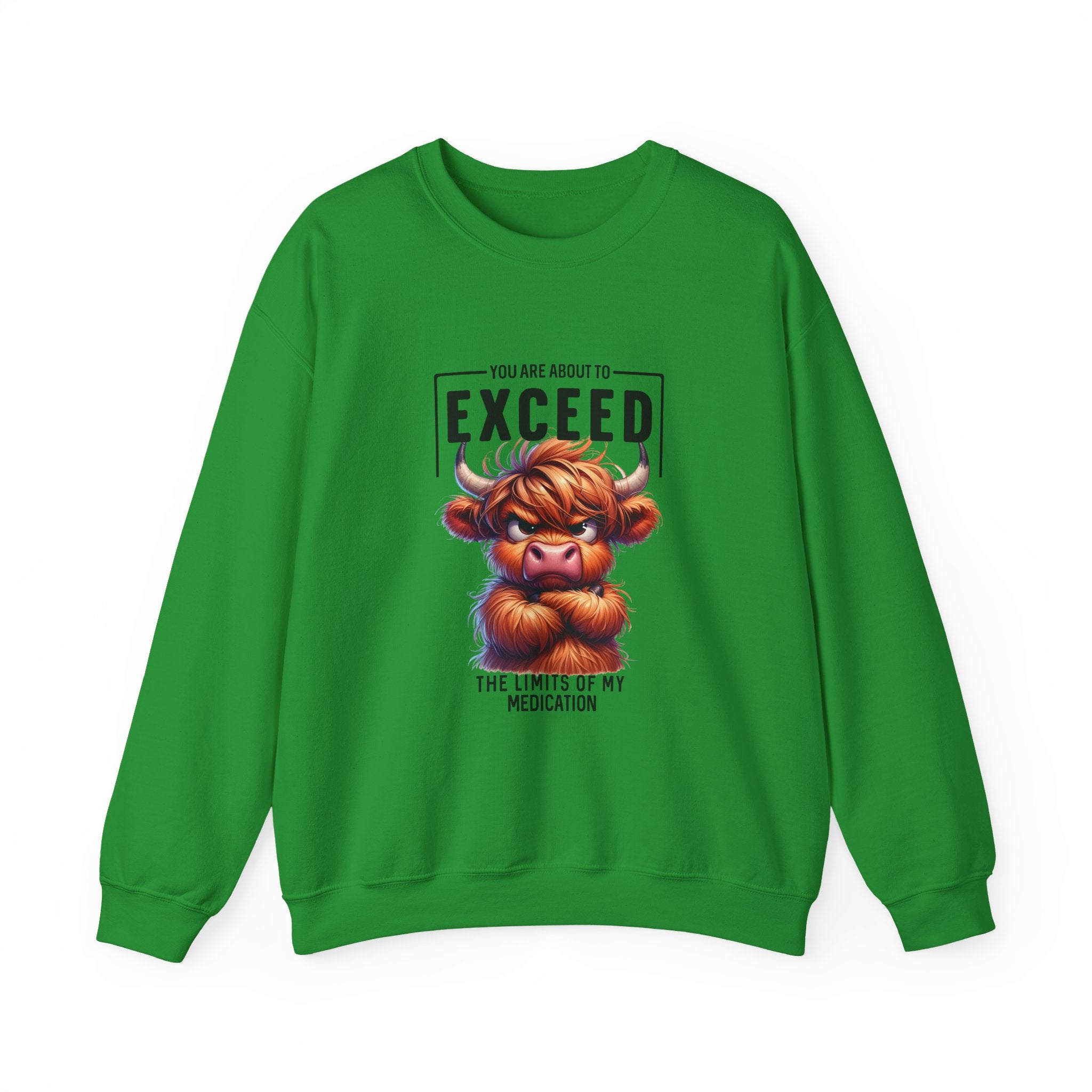 "You Are About to Exceed the Limits