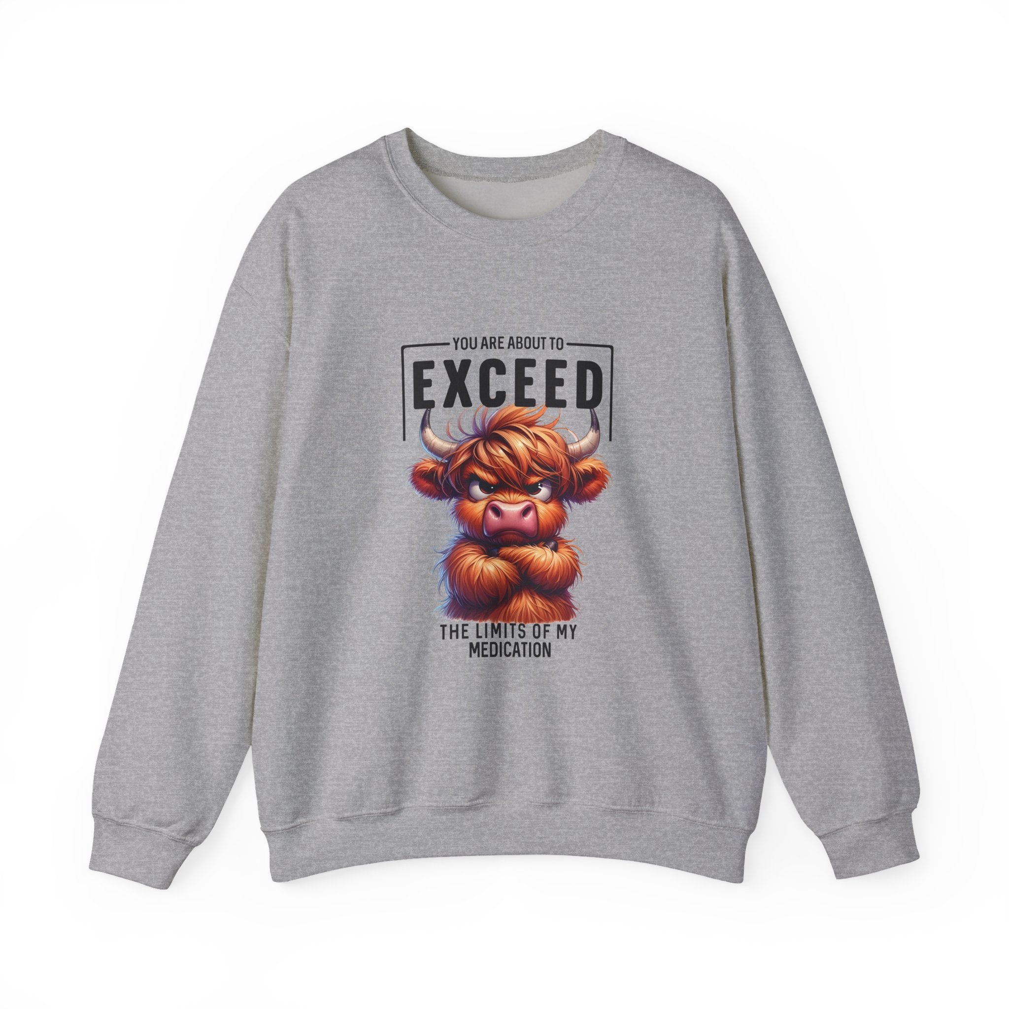 "You Are About to Exceed the Limits