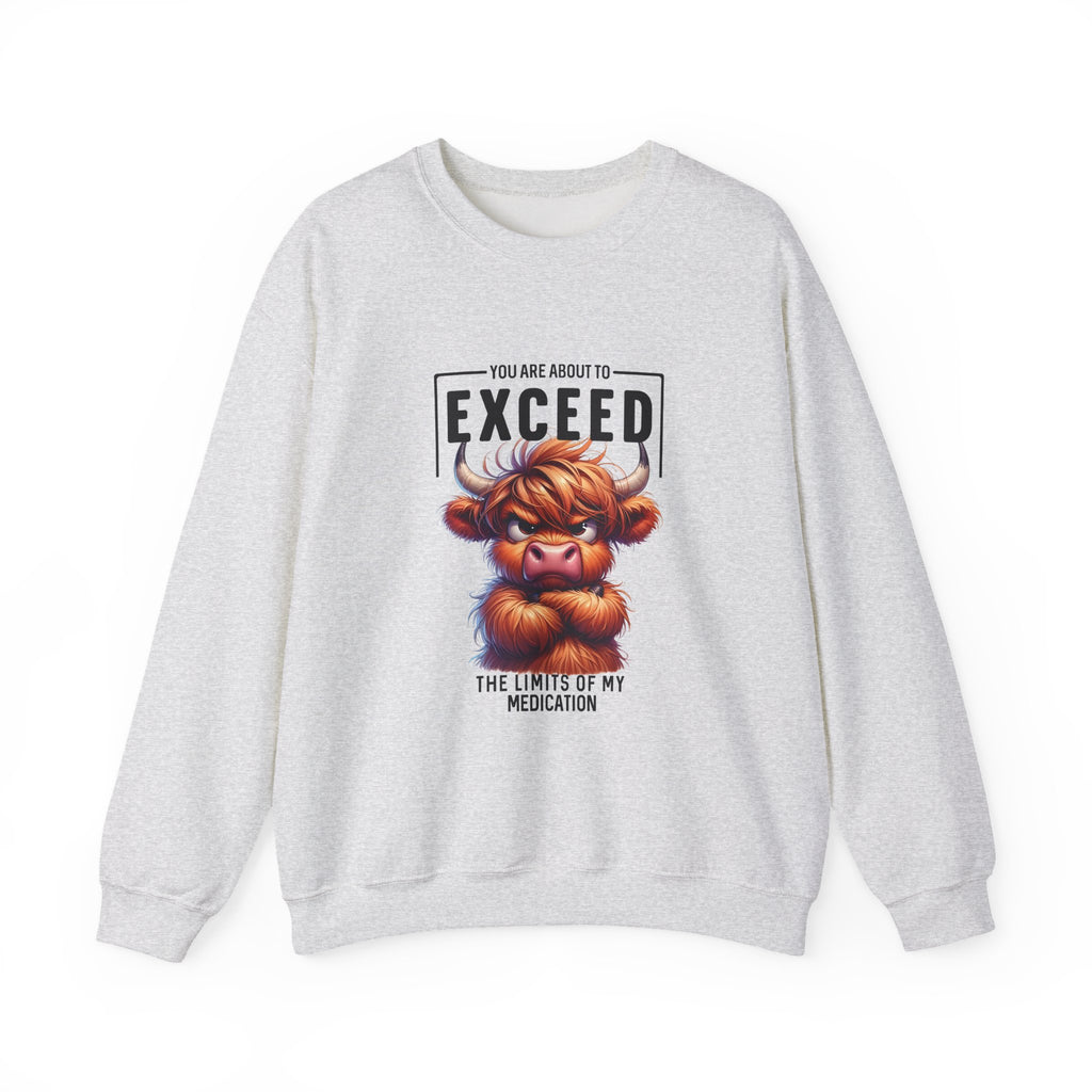 "You Are About to Exceed the Limits