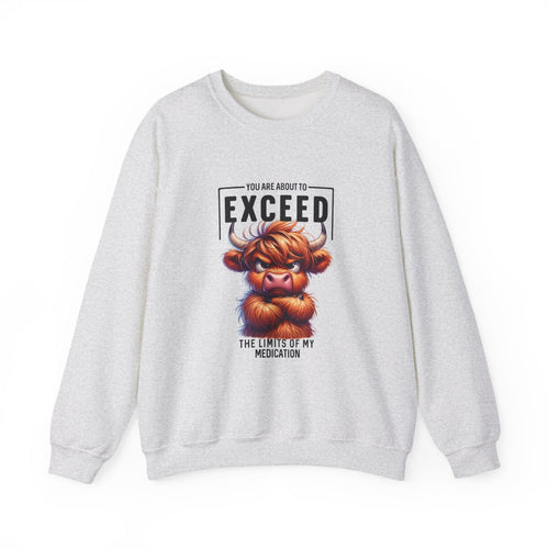 "You Are About to Exceed the Limits